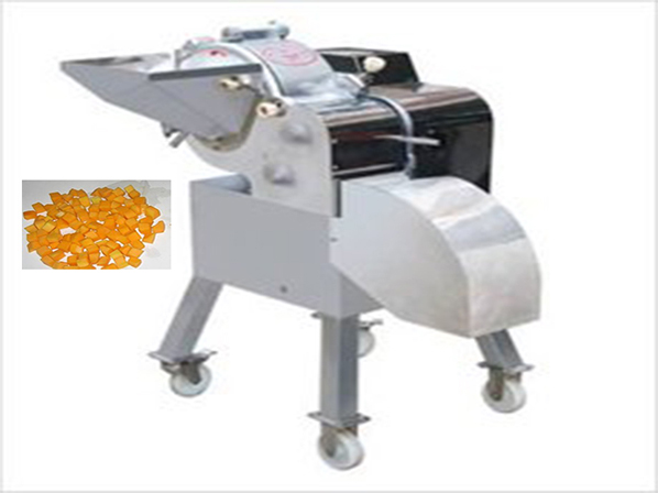 fruit and vegetable washing machine 