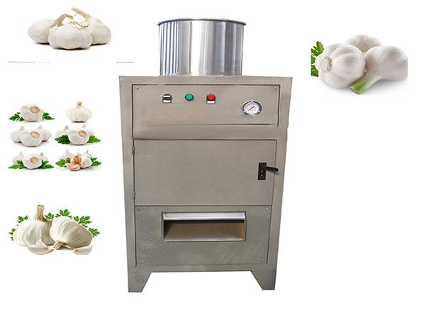 garlic peeling machine