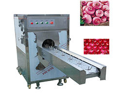 onion peeling machine 