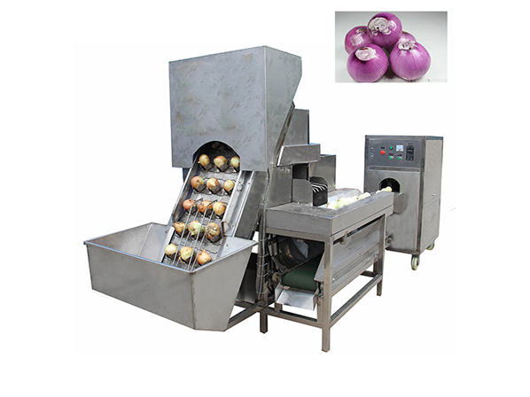 Automatic Onion Slicer Machine - Leenova Food Processing Machinery